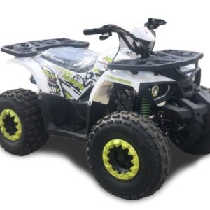 Это Квадроцикл Forte HUNTER 125 Фото к Квадроцикл Forte HUNTER 125
