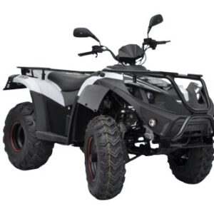 Это Квадроцикл Linhai LH300ATV-3B Фото к Квадроцикл Linhai LH300ATV-3B