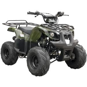 Фото к Квадроцикл Spark SP 110-3